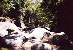 2001 - Australie B (24)